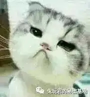 有人因玩抖音被警察逮捕,网友却一致叫好地域黑,活该
