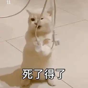 一女子在酒店大声问同伴你看过maopian吗
