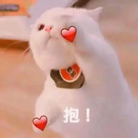 冬季维权调查活动顺利进行
