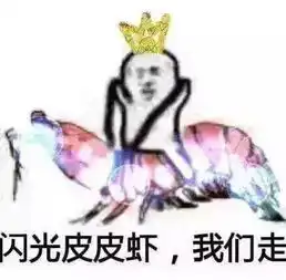 皮皮虾也被玩坏了这个表情包最近已经刷爆了朋友圈
