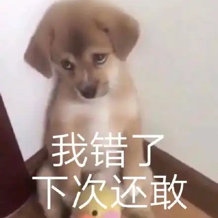 表情包你是不是要凶我了

