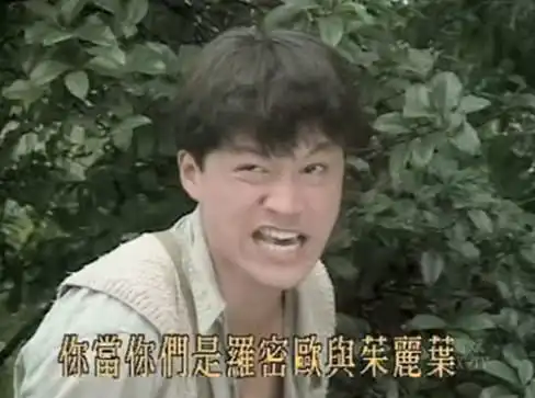 他以咆哮帝成为火爆表情包,做客吐槽大会,强吻刘嘉玲引批评
