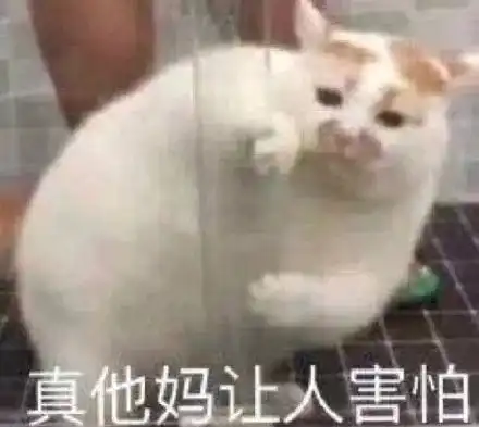 想不到吧别整天只会发表情,你知道那些表情包来源吗
