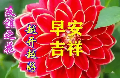9月15日最漂亮早上好动态表情图片大全,早上好动图美图大全
