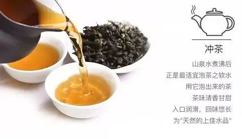 说潮汕人最爱喝茶广州人第一个不服
