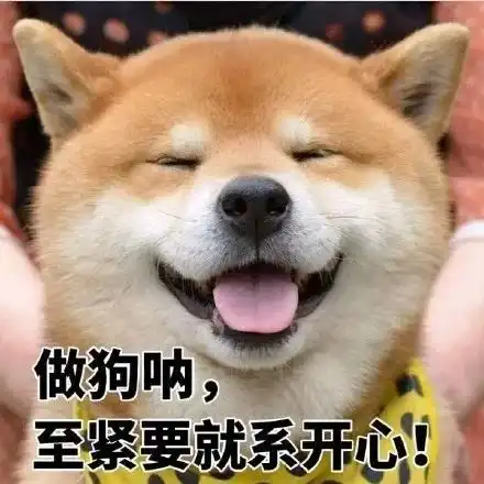 搞笑柴犬表情包,你说这话,你自己信