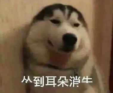 表情包您请便
