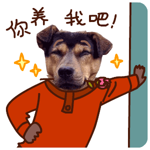 单身狗田汪汪的qq表情gif单身狗专属田汪汪qq动态表情
