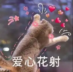 假期聚会秘籍中秋过后是十一,你准备好了吗
