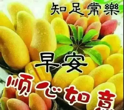 最棒最赞的正能量早上好问候语表情图,早安问候图片带字温馨

