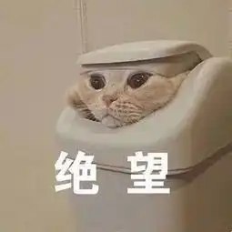 考试周熬夜长痘
