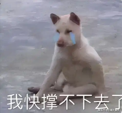 富贵花的故事龙太子用美人计算计赵大公子,赵大公子果然中计
