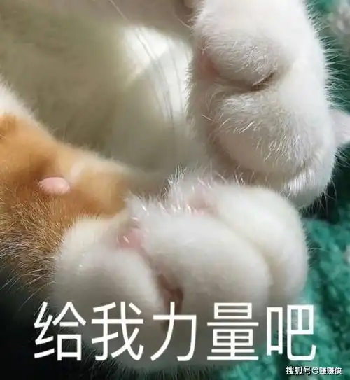 热门表情包图片在哪,马上到
