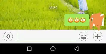 怎么知道微信表情是什么意思,女孩子爱发表情图过来,经常不知道是啥...