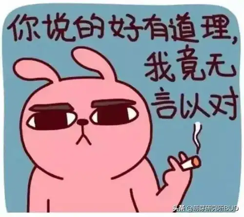 二孩家庭的真实现状哥哥是学霸,弟弟是行走中的表情包
