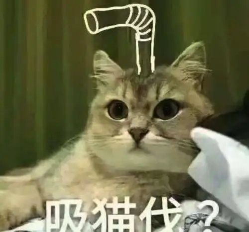 解锁8种吸猫姿势,你最常用哪一种
