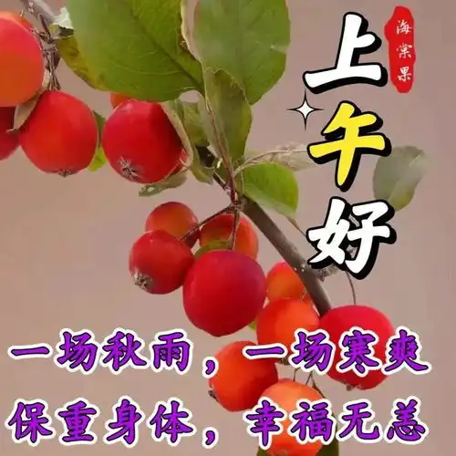 2023年9月5日周二早上好,精选早安温馨祝福图片带表情包,早安暖心问候祝福语大全
