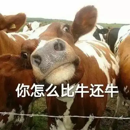 沙雕表情包你怎么比牛还牛

