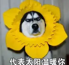 女明星隆胸常见的品牌,被欧洲禁止

