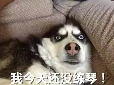 只有学钢琴的人才能看懂的表情包大战,快来收藏吧

