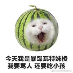 物价君的脑缠粉儿的微博微博

