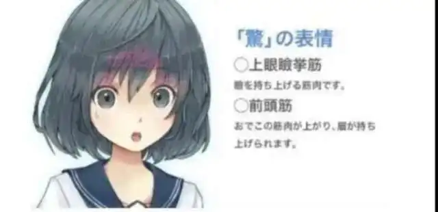 喜怒哀乐动漫人物表情绘画教程
