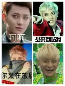 鹿晗黄子韬表情包扛把子娱乐圈谁家爱豆最强
