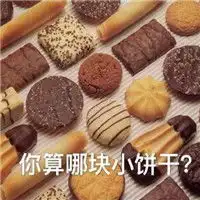 你算哪块小饼干系列表情包你算哪块小饼干怼人表情包
