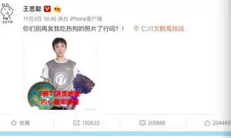 王思聪最后悔的一件事吃热狗被作表情包周边贩卖大热
