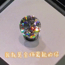 进博会交易数据公布,成果丰硕
