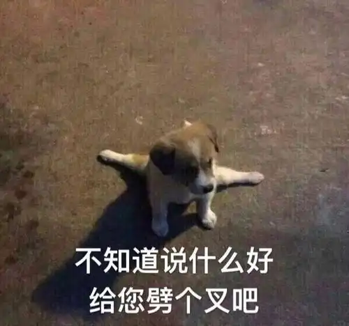 我的收藏夹
