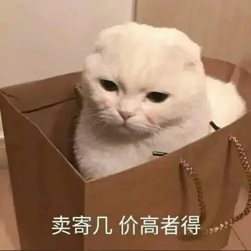 考研如果复试时太紧张,遇到不会的问题只能凉了吗这些技巧收下
