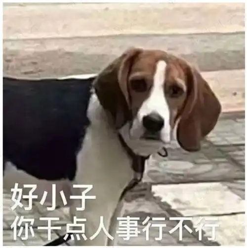 狗子表情包出处委屈