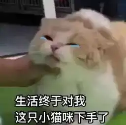 表情包帅起来,我自己都怕
