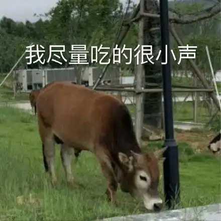 呱唧呱唧汪汪汪cheemsdoge青蛙表情包呱唧dogecheems汪汪表情

