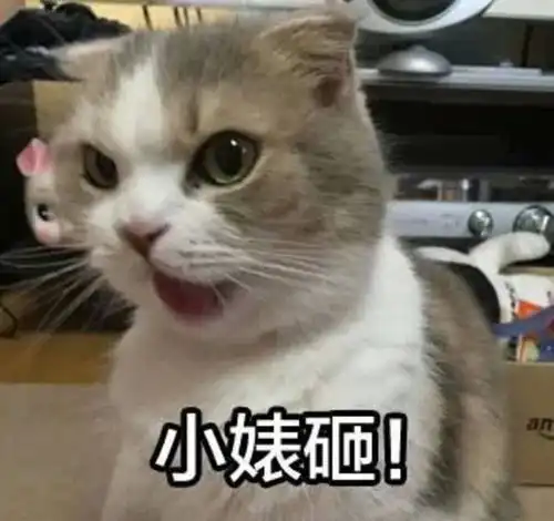 快递外卖小哥这是要进军段子手界的节奏吗
