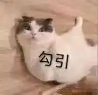 表情包
