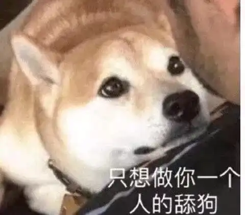 哈哈哈哈哈哈哈,年底了,沙雕小偷又出来冲业绩了......
