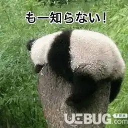 抖音上日语关西版本plus表情包汇总大全及下载地址
