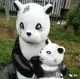 日本人,快放开我们的国宝大熊猫
