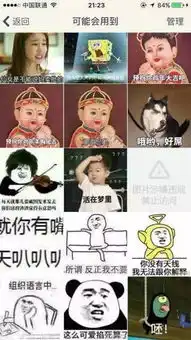 能拯救中国这届三百万孤寡青年的,就只有表情包了
