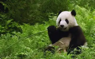 投票排行榜微萌宝投票来了
