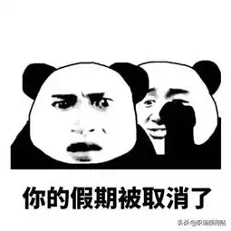 只有财会人看得懂的表情包,审计人也被打动了
