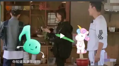 王源杨超越莴笋之争互不相让,有谁注意到一旁贾乃亮的表情
