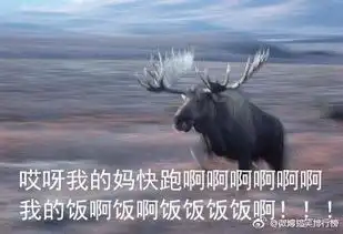 猪冲啊吃饭表情包

