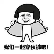 网上穿衣服的表情包
