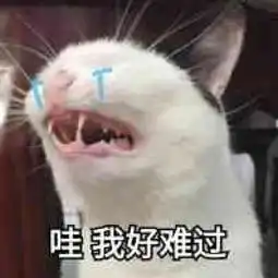 我在宁波,今年25岁,即将拥有第7套房
