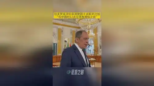拉夫罗夫穿白衬衣接受采访领带系的很紧表情略显严肃
