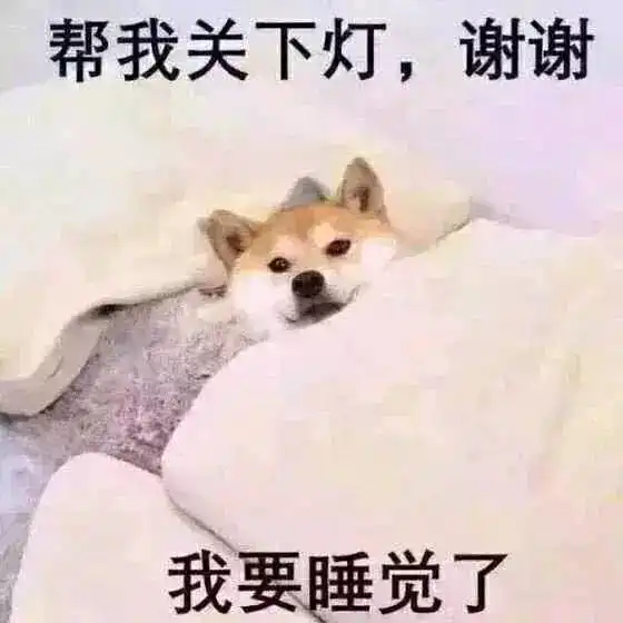 那些曾让在我们捧腹的网红狗们,可惜他们都已不在人世
