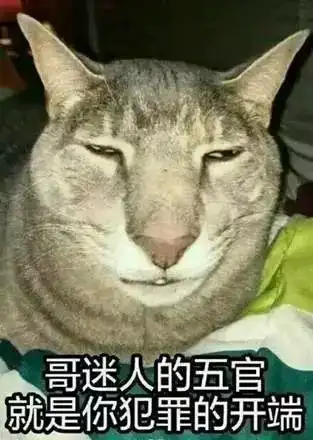 你见过最丑猫啥样这些猫真的可以直接做表情包了...哈哈哈
